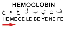 Hemoqlobin və dəmir
