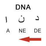 DNT (DNA) və genetika tarixinin başlanğıcı